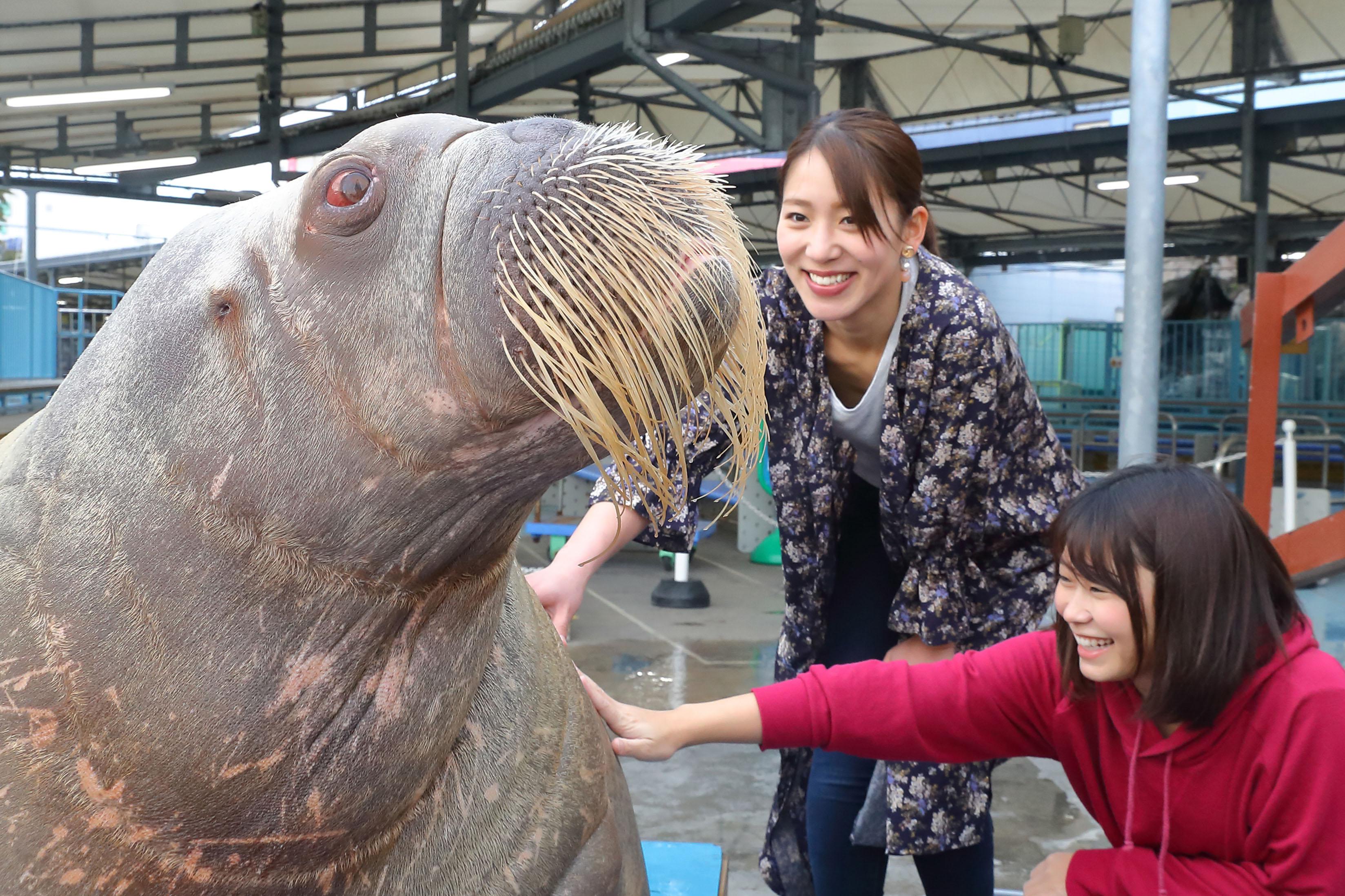 🐠 도바 수족관 이미지 8